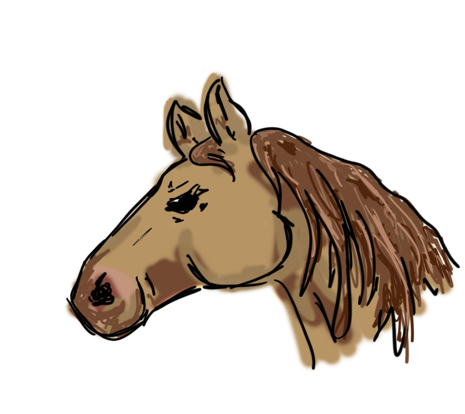 Made-It Monday: Quick Horsey Digital Sketch – Amy Laurens | Award ...